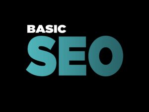 Basic SEO Package