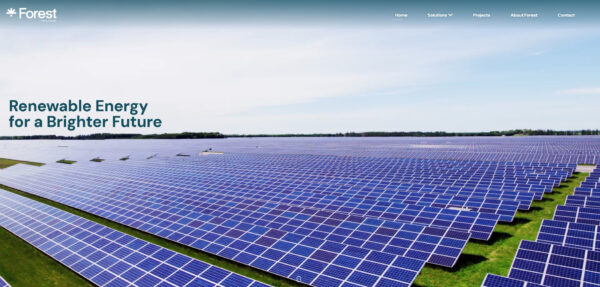 Forest Energy Website